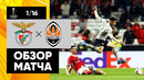 Бенфика – Шахтер | Лига Европы 2019/20 | 1/16 финала | Ответный матч