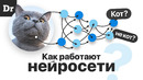 Как НА САМОМ ДЕЛЕ работает нейросеть