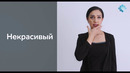 Сурдо язык ( Человек. Родство. Семья) тема 2