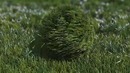 Bouncy grass ball logo reveal[1