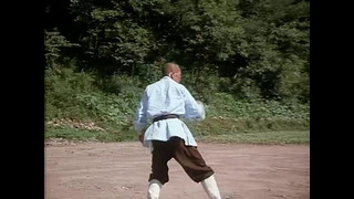 Shaolin realnoe masterstvo.1994