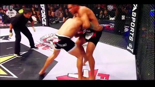 Fabricio Vai Cavalo Werdum – - Highlights  HD