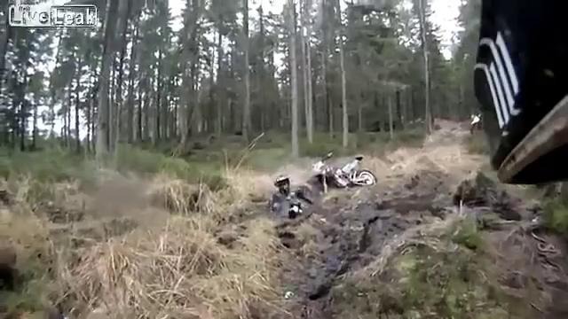 Мотоциклисты в лесу