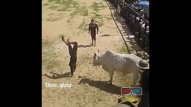Чокнутий акробат