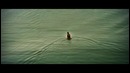 Eco & Driftmoon – Trust In The Wind (Official Music Video 2017)
