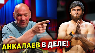 Заявление после скандального UFC 282/Магомед Анкалаев о UFC/Илия Топурия/Даррен Тилл