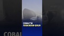 Taxtiqoracha dovonida harakatlanib ketayotgan Cobalt’ni tosh bosib qoldi
