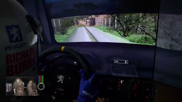 Richard Burns Rally | Safari Kinamba Yala | Peugeot 206 WRC 2002 Onboard