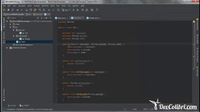 Java SE- Урок 21. Конструкторы