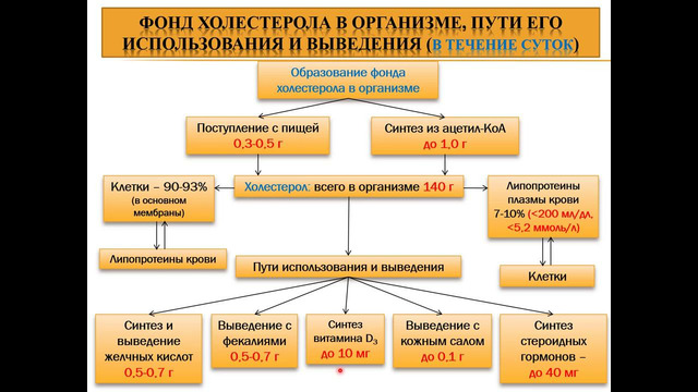 Обмен холестерина