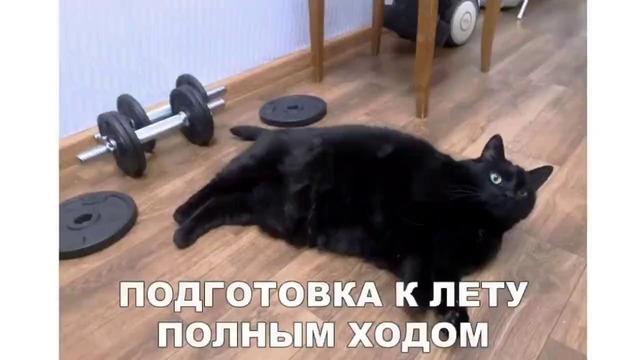 Лютые приколы. Огонь не отбрасывает тень