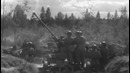 Самый боевой советский КОТ ВТОРОЙ МИРОЙ ВОЙНЫ Рыжий зенитчик ВОВ