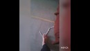 СуПеР КоТиК
