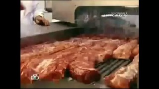 Из чего делают мясо и колбасу