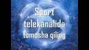 UEFA Chempionlar ligasida yana 2 ta yangi klublar
