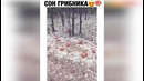 Угарные Приколы