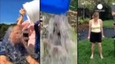 Флэшмоб Ice Bucket Challenge принес почти 100 млн долларов