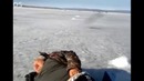 Клюет хоть)
