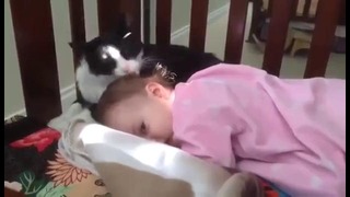 Кошка вылизывает ребенка