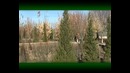 Mo`jizaga to`la mening makonim (Botanika bog’i)