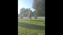 Моя тренировка Acro-street