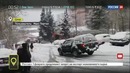 Ежедневный выпуск «Мобильный репортер» на ТК «Россия 24» от 1 февраля 2017 года