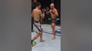 Volkanovski DESTROYED Korean Zombie!! #shorts