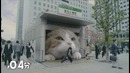 Lotte Fit’s доставляет