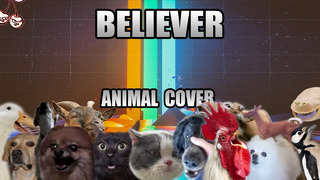Imagine Dragons – Believer (Animal Cover)