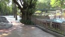 Китай Рулит в Китае! 13. Safari Park часть 4