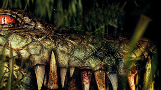 Ужас острова Рамри. Крокодилы людоеды, убившие более 1000 солдат