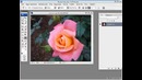 Уроки по Adobe Photoshop. От Евгения Попова Водяной знак