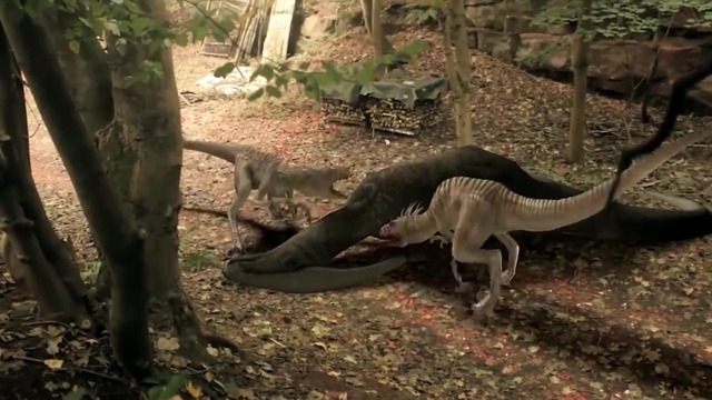 Невероятные факты о динозаврах, в которые вы по прежнему верите
