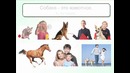 Рус тили 47 кунда 10-кун.(480p)