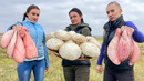Самые Сочные Бараньи Яички с Ароматными Фаршированными Грибами