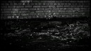 5diez – Дождь