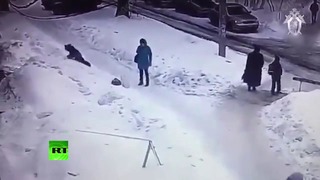 В Рязани на ребёнка упала глыба льда — видео
