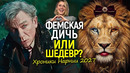 Очередная «прогрессивная» дичь? Почему трейлер Хроник Нарнии вызвал такой скандал? Зрители в шоке