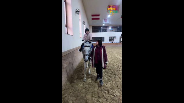 Video 2026-06-03 15-44-45