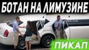 Ботаник Пикапит Девушек На Лимузине