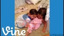 Best of Vine – n°33