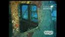 Дайверы разоблачили мошенника