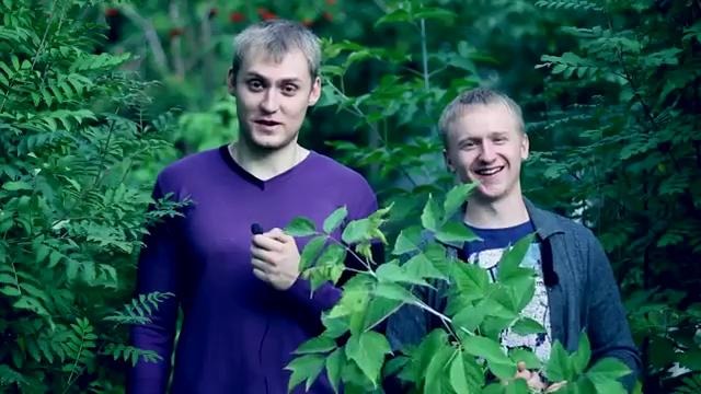 Видеоблогеры отвечают. Как пришла идея
