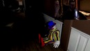 ExileShow – орём с coffi в невероятно страшной хоррор-игре emily wants to play