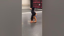 Girl Contorts Body into Amazing Shapes