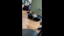 Cat On Vibrating Machine #shorts