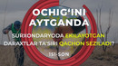Surxondaryoda ekilayotgan daraxtlar ta‘siri qachon seziladi