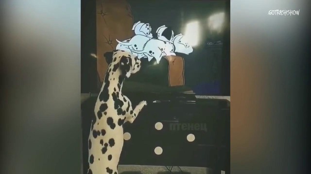 Лучшие приколы Декабрь 2017 – Best Jokes Compilation #75