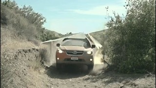 Subaru небрежно эксплуатирует Forester, Outback и XV Crosstrek во имя веселья