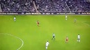 The Anfield Cat